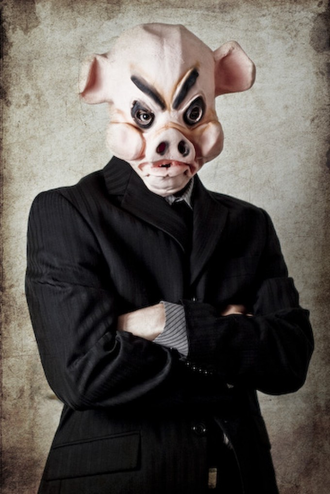 march of the pig